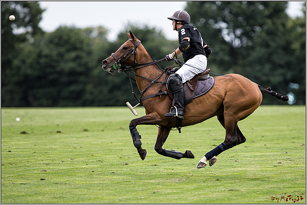 Polo Picknick Muenster 2017, 28.07.2017