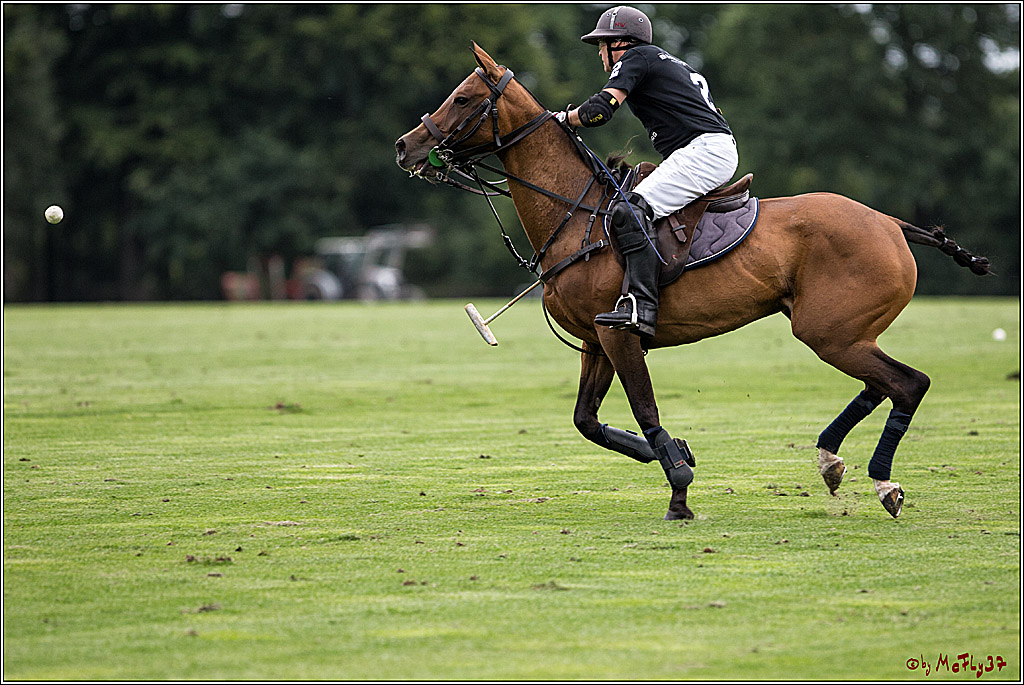 Polo Picknick Muenster 2017, 28.07.2017