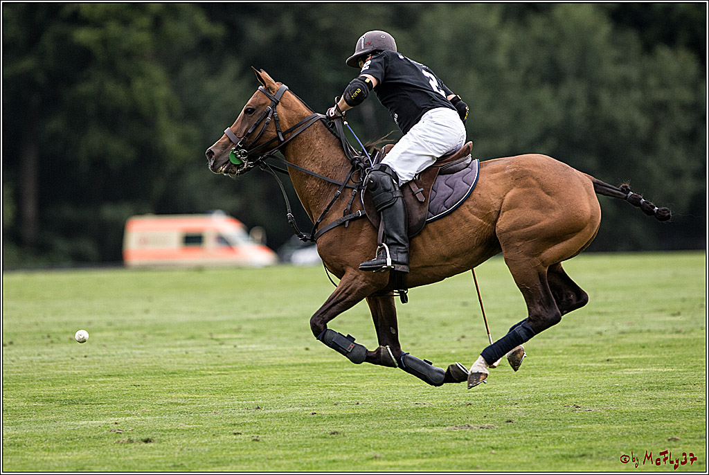 Polo Picknick Muenster 2017, 28.07.2017