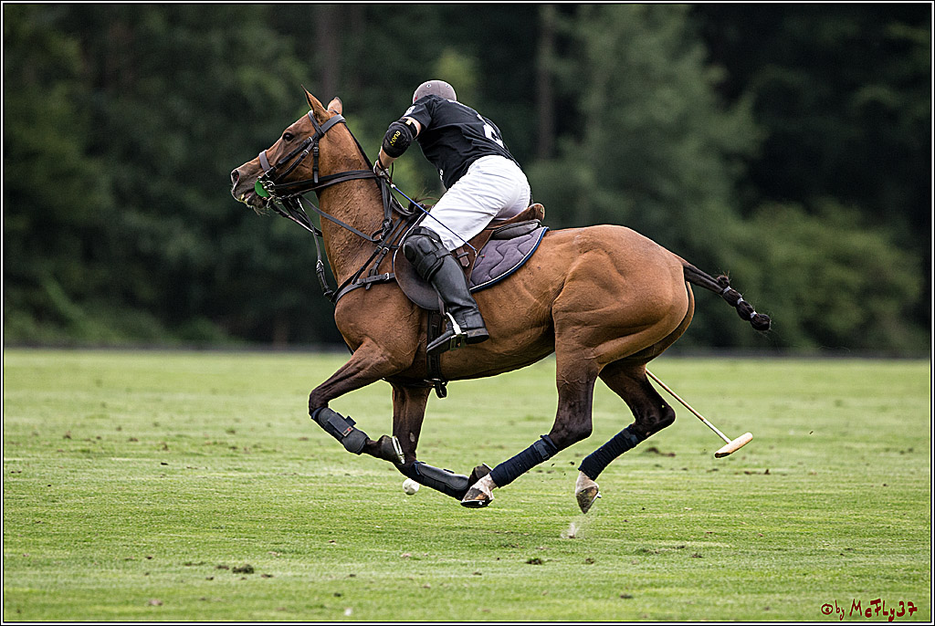 Polo Picknick Muenster 2017, 28.07.2017