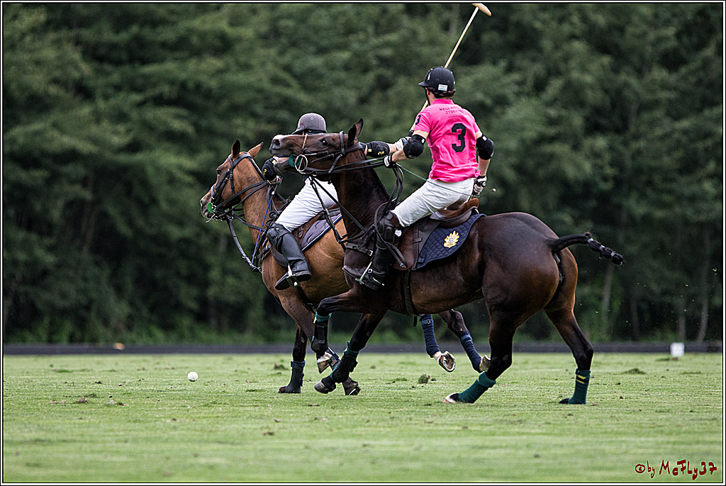 Polo Picknick Muenster 2017, 28.07.2017
