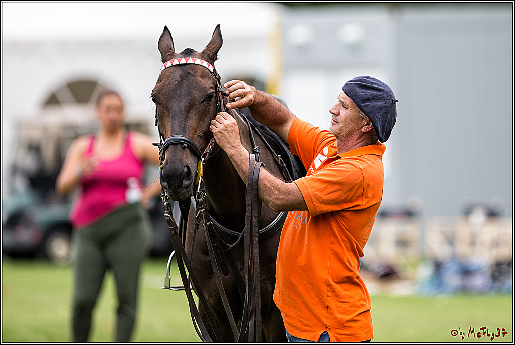 Polo Picknick Muenster 2017, 30.07.2017