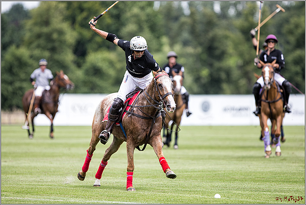 Polo Picknick Muenster 2017, 30.07.2017