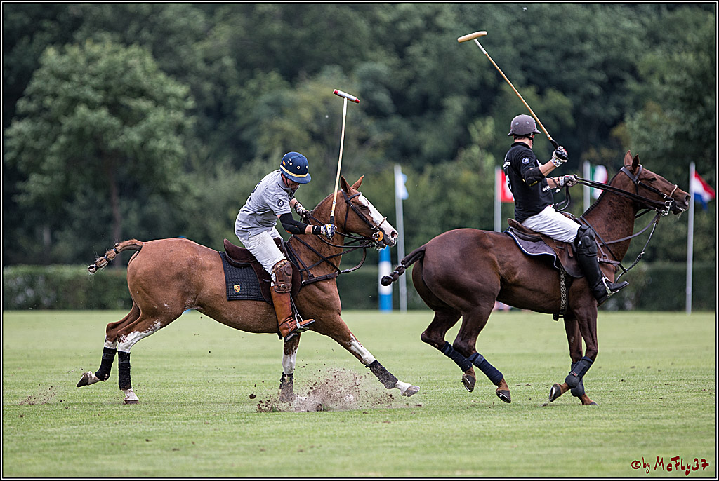 Polo Picknick Muenster 2017, 30.07.2017