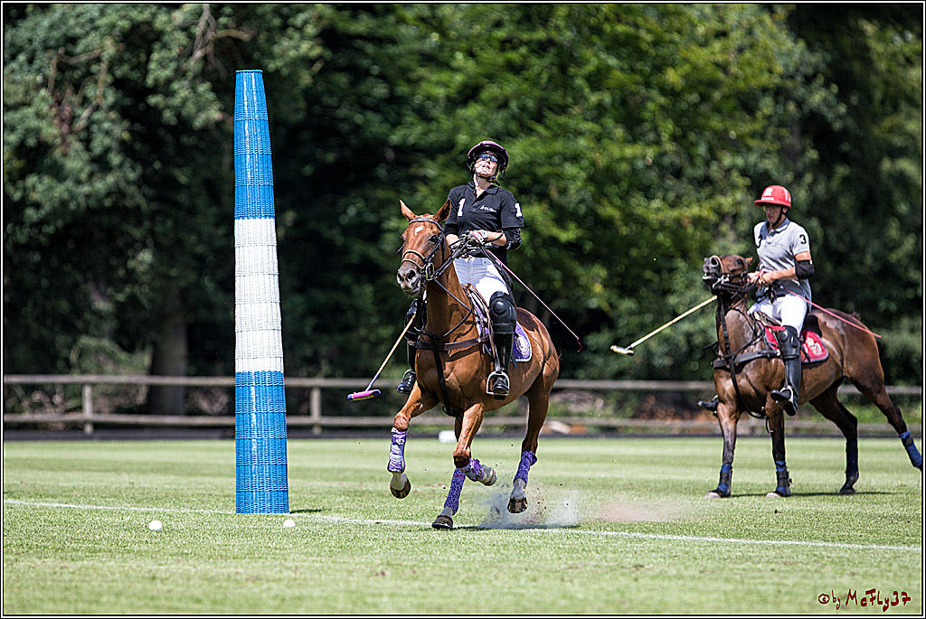 Polo Picknick Muenster 2017, 30.07.2017