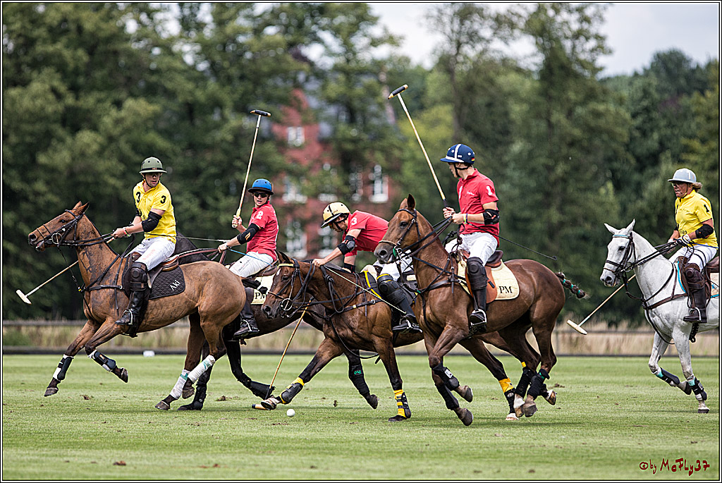 Polo Picknick Muenster 2017, 30.07.2017