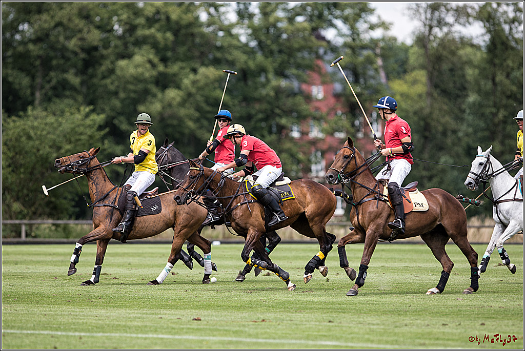 Polo Picknick Muenster 2017, 30.07.2017