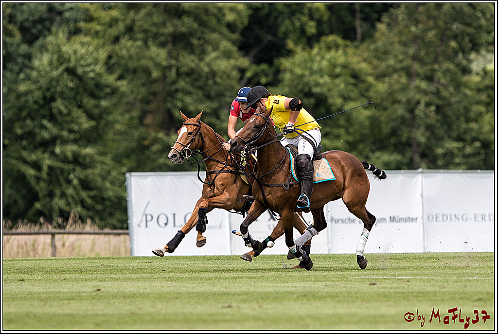 Polo Picknick Muenster 2017, 30.07.2017