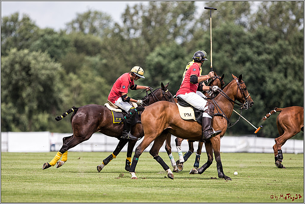 Polo Picknick Muenster 2017, 30.07.2017