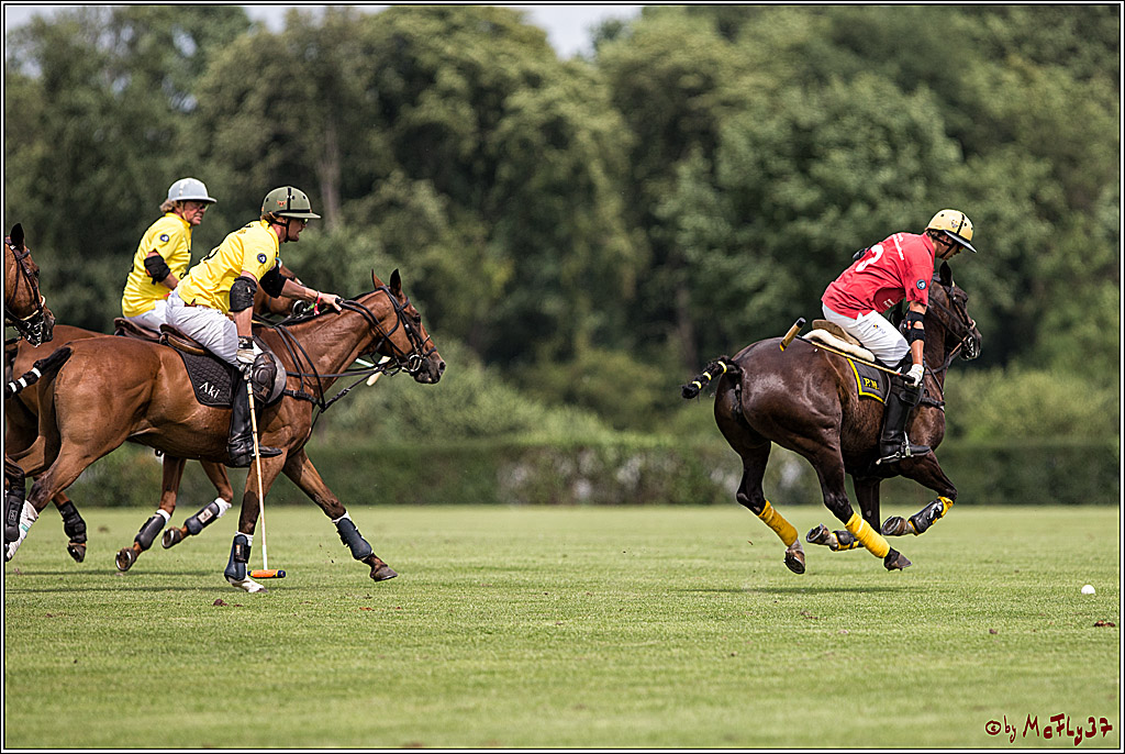 Polo Picknick Muenster 2017, 30.07.2017