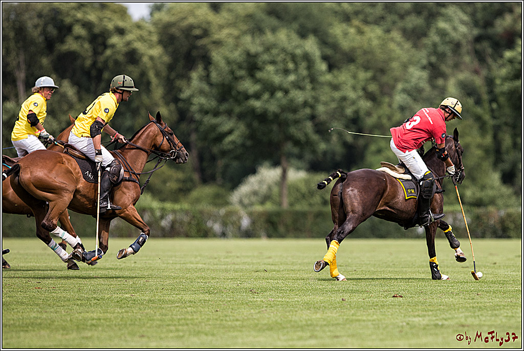 Polo Picknick Muenster 2017, 30.07.2017
