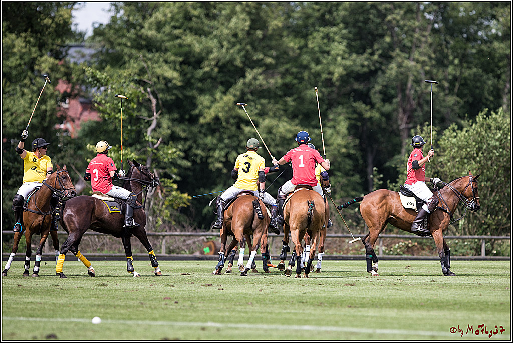 Polo Picknick Muenster 2017, 30.07.2017