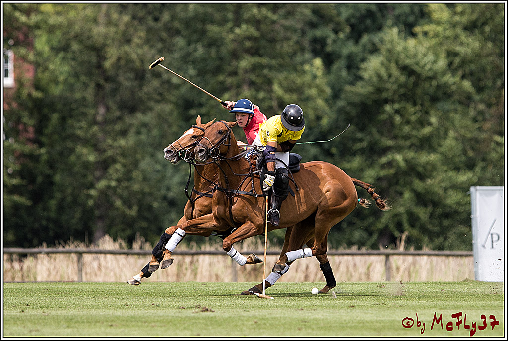 Polo Picknick Muenster 2017, 30.07.2017