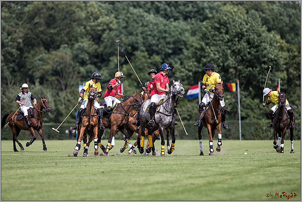 Polo Picknick Muenster 2017, 30.07.2017