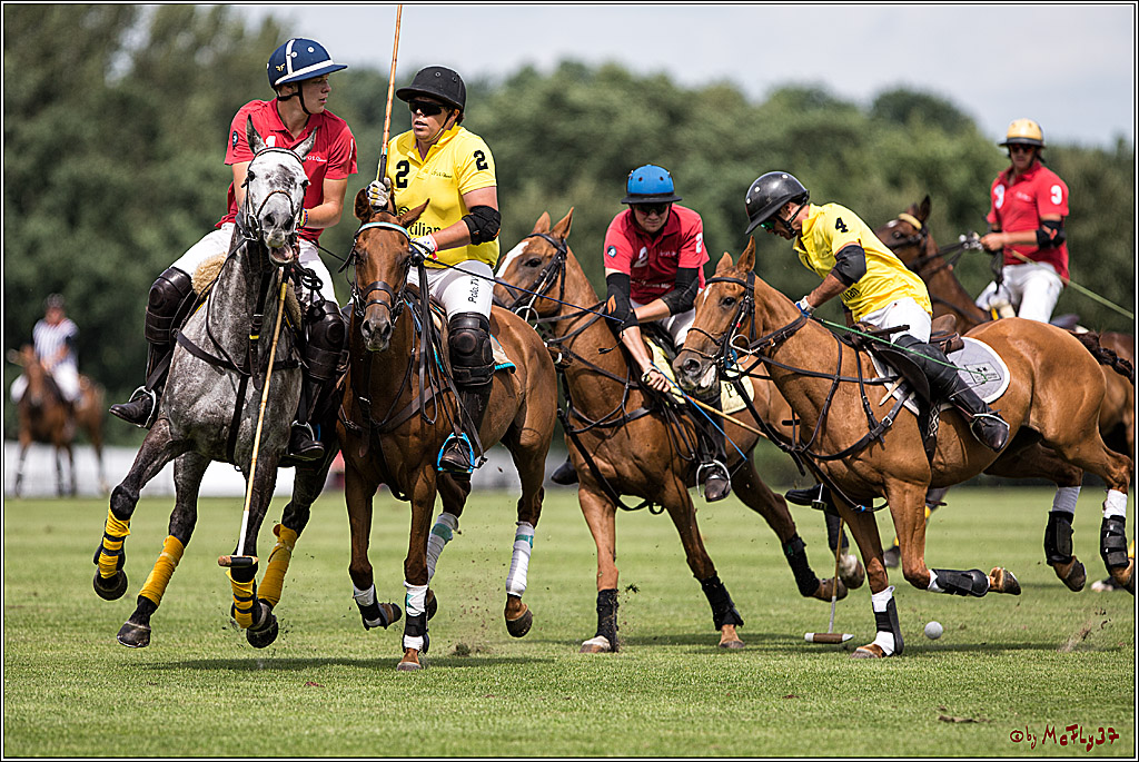 Polo Picknick Muenster 2017, 30.07.2017