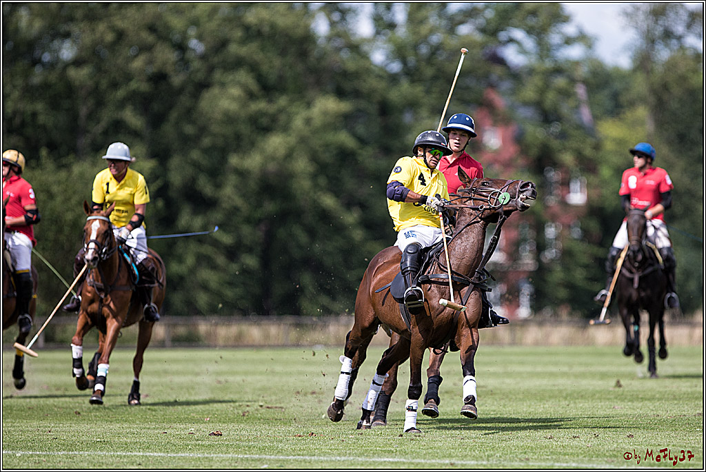 Polo Picknick Muenster 2017, 30.07.2017