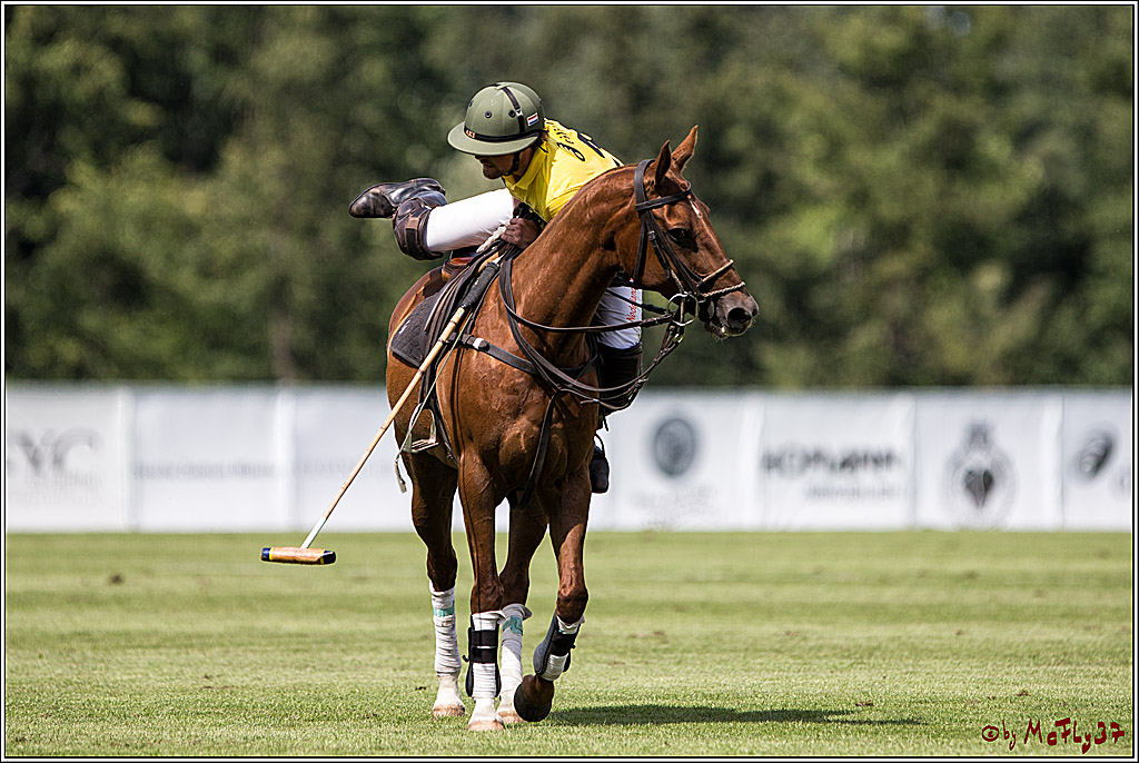 Polo Picknick Muenster 2017, 30.07.2017