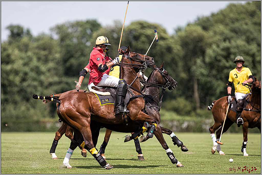 Polo Picknick Muenster 2017, 30.07.2017