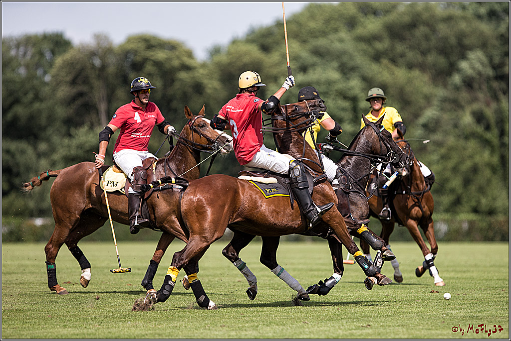 Polo Picknick Muenster 2017, 30.07.2017