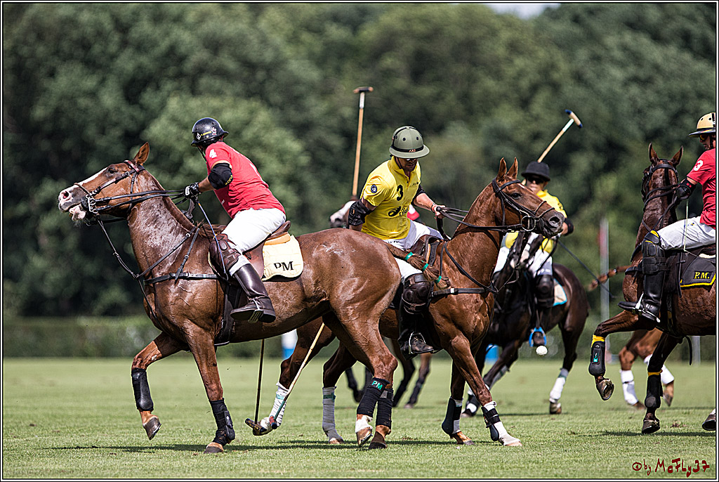 Polo Picknick Muenster 2017, 30.07.2017