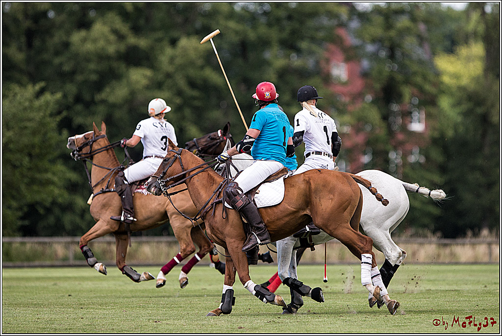 Polo Picknick Muenster 2017, 30.07.2017