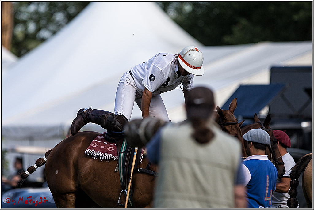 Polo Picknick Muenster 2017, 30.07.2017