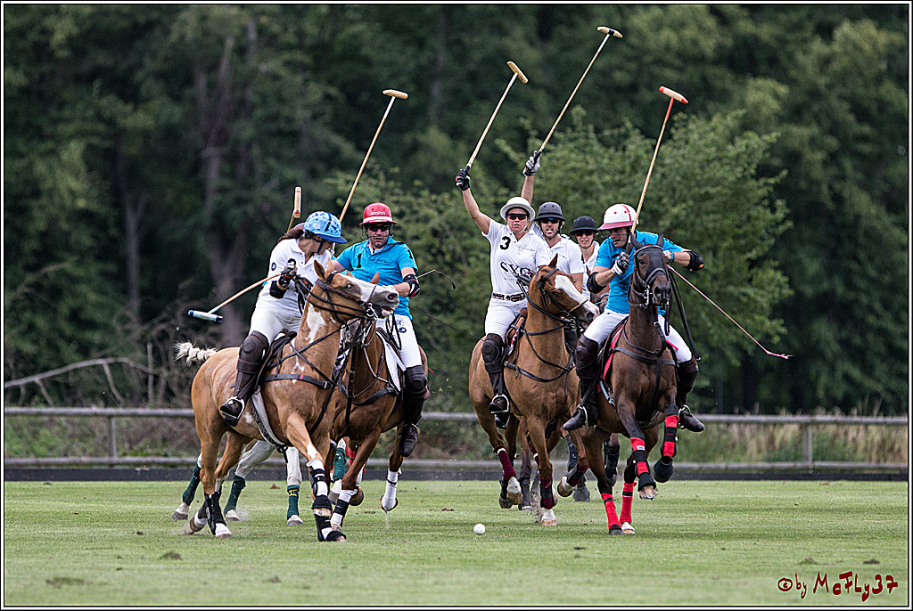 Polo Picknick Muenster 2017, 30.07.2017