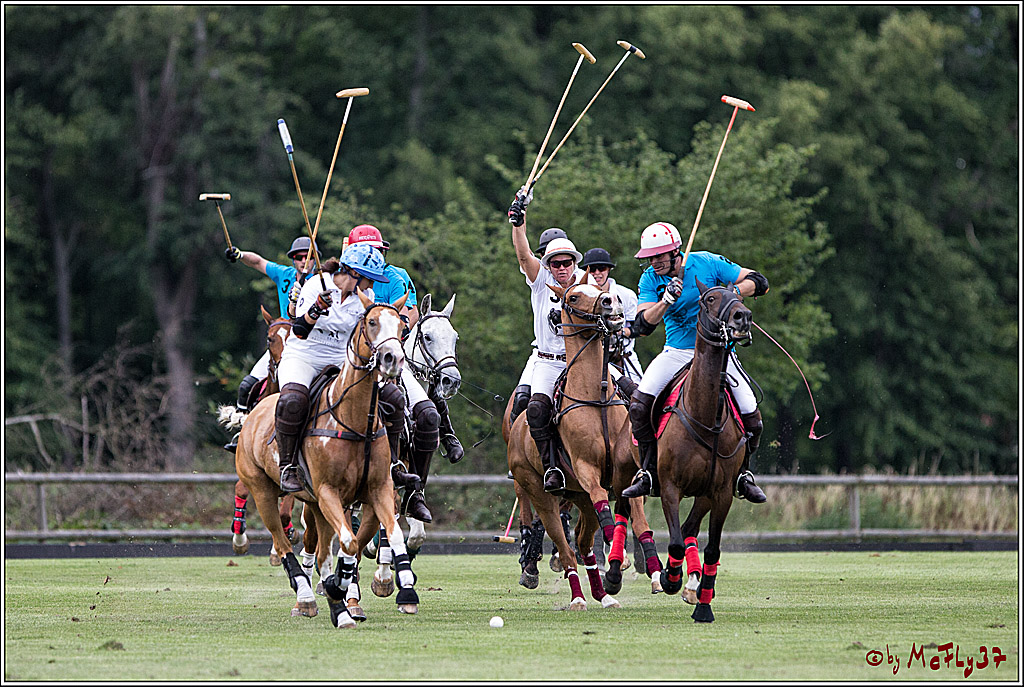 Polo Picknick Muenster 2017, 30.07.2017