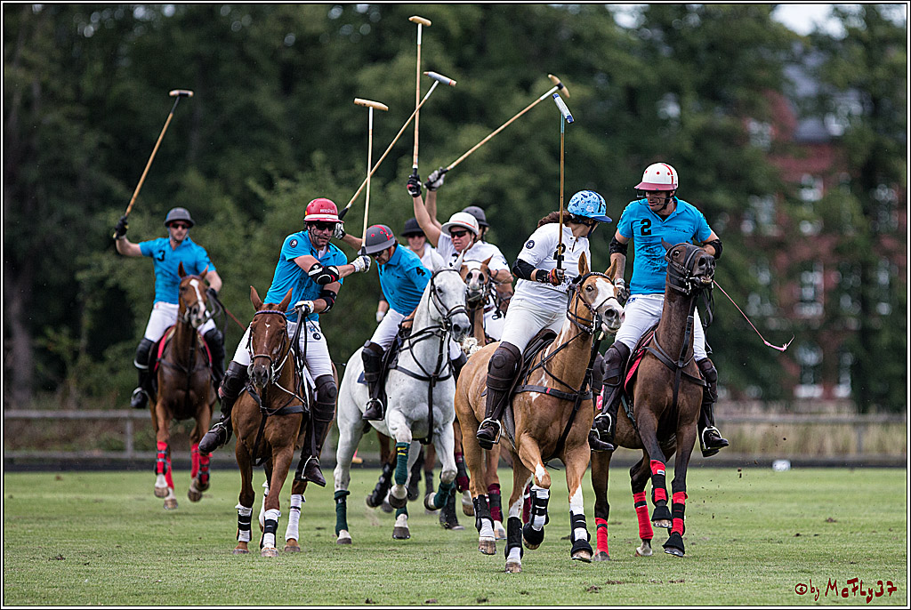 Polo Picknick Muenster 2017, 30.07.2017