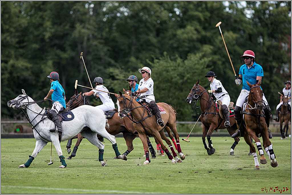 Polo Picknick Muenster 2017, 30.07.2017