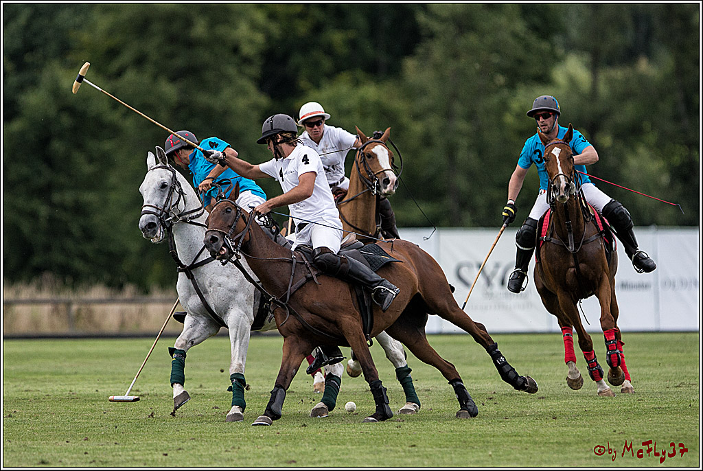 Polo Picknick Muenster 2017, 30.07.2017