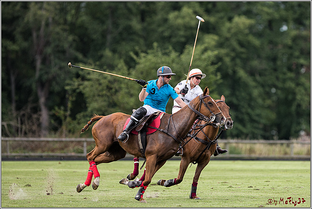 Polo Picknick Muenster 2017, 30.07.2017