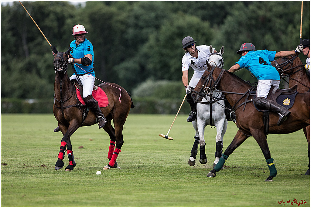 Polo Picknick Muenster 2017, 30.07.2017