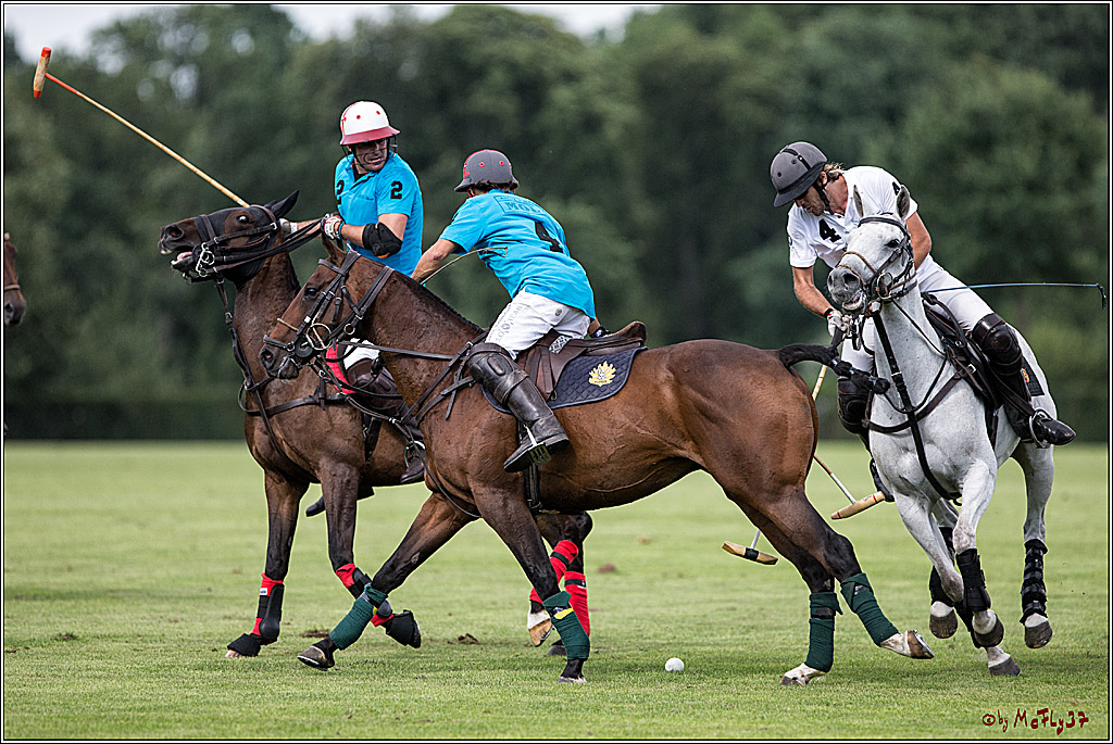 Polo Picknick Muenster 2017, 30.07.2017