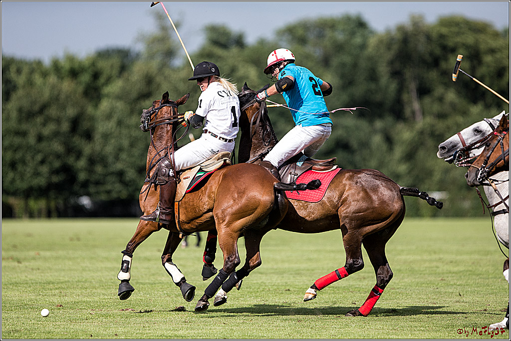 Polo Picknick Muenster 2017, 30.07.2017