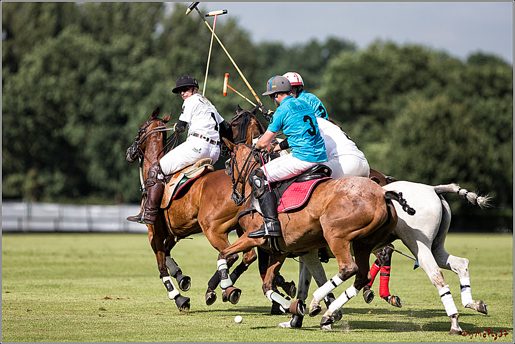 Polo Picknick Muenster 2017, 30.07.2017