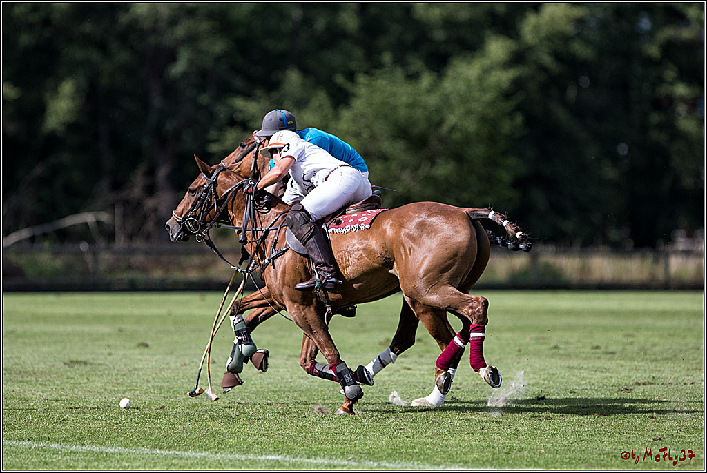 Polo Picknick Muenster 2017, 30.07.2017