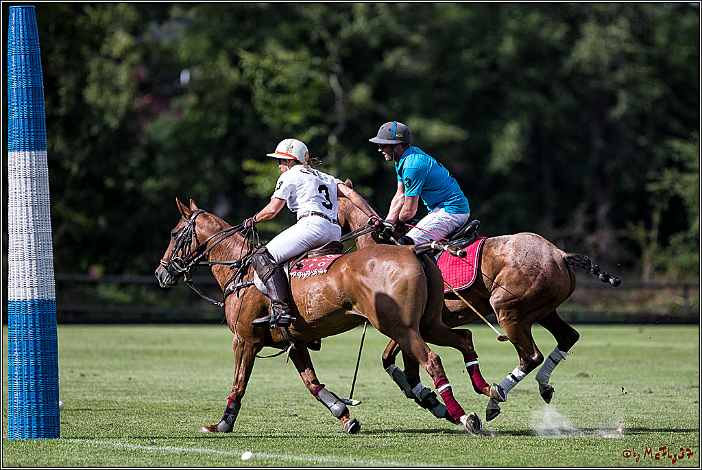 Polo Picknick Muenster 2017, 30.07.2017