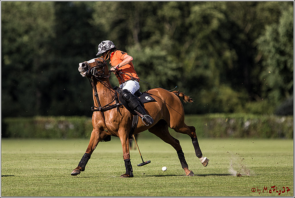 Polo Picknick Muenster 2017, 30.07.2017