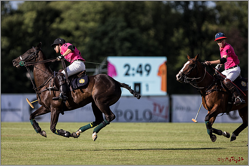 Polo Picknick Muenster 2017, 30.07.2017