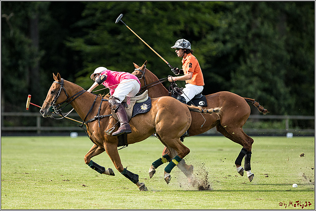 Polo Picknick Muenster 2017, 30.07.2017