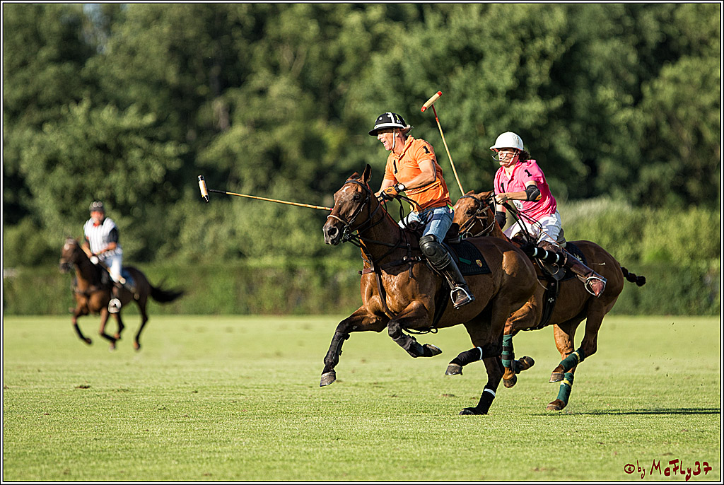 Polo Picknick Muenster 2017, 30.07.2017
