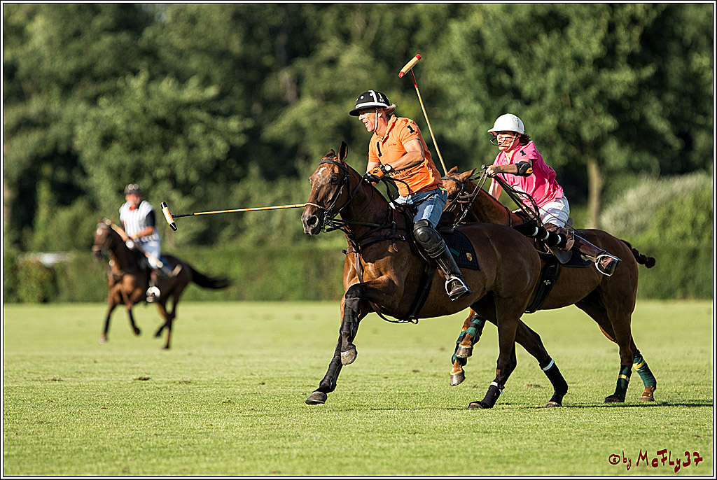 Polo Picknick Muenster 2017, 30.07.2017