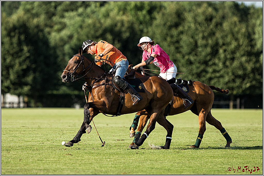Polo Picknick Muenster 2017, 30.07.2017