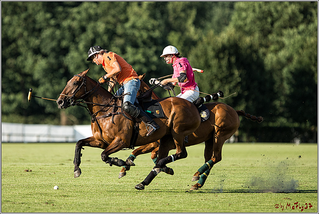 Polo Picknick Muenster 2017, 30.07.2017