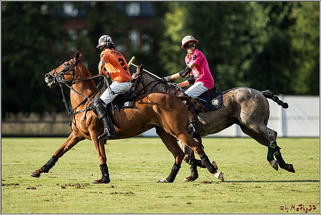 Polo Picknick Muenster 2017, 30.07.2017