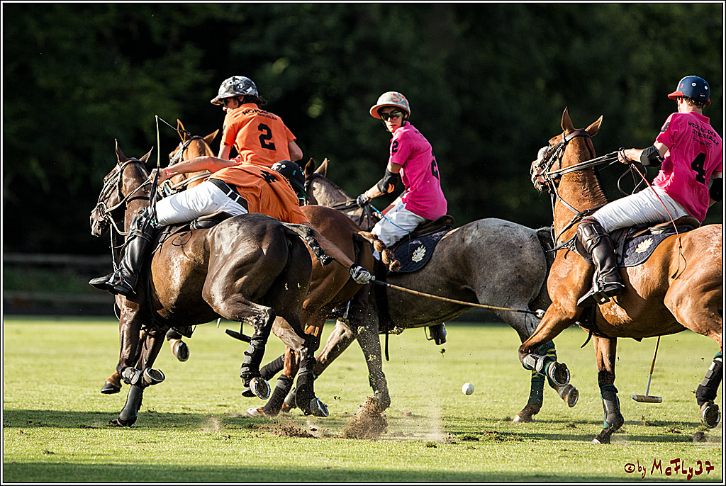 Polo Picknick Muenster 2017, 30.07.2017