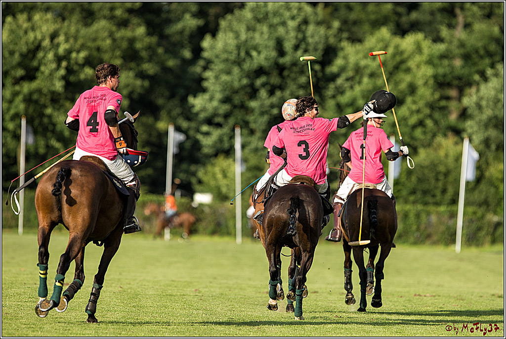 Polo Picknick Muenster 2017, 30.07.2017