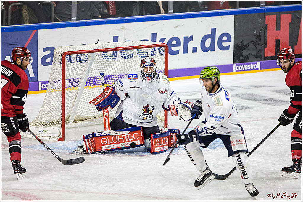 DEL, Koelner Haie - Iserlohn Roosters, 15.09.2017