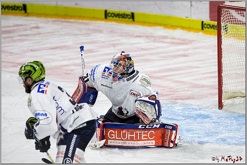 DEL, Koelner Haie - Iserlohn Roosters, 15.09.2017